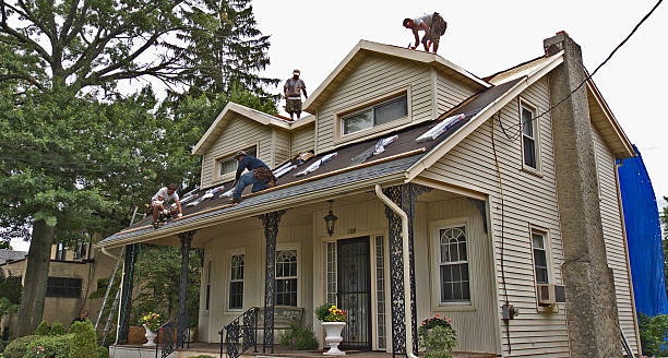 Best Roofing Contractor Near Me  in Whitehall, MI