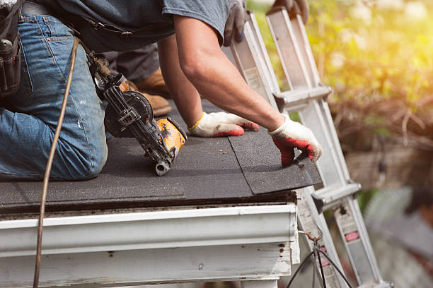 Best Roof Restoration Services  in Whitehall, MI